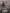 Laffairebojarski Teaser Web